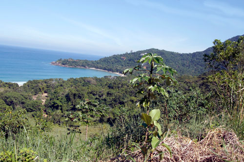 SINDMESTRE - UBATUBA